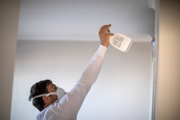 Best Mold Remediation Experts  in Benson, MN