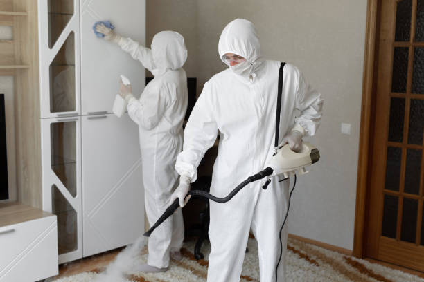 Certified Mold Removal in Benson, MN