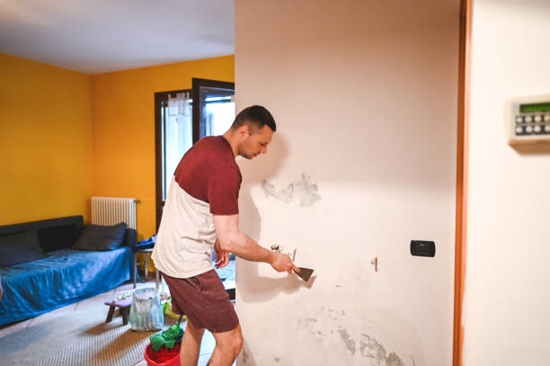 Best Mold Removal Company Near Me  in Benson, MN
